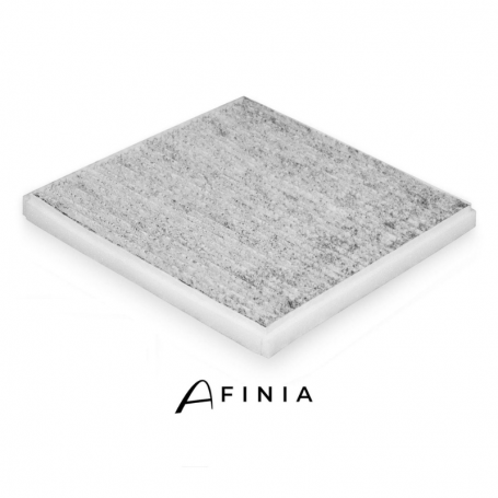 Carbon filter Afinie NDC 2000