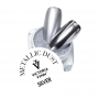 DUST Metallic Silver / 0.5g  Victoria Vynn