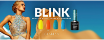 Blink Blink